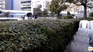 小视频福利视频短片⭕❌亚洲精品99久久久久中文字幕